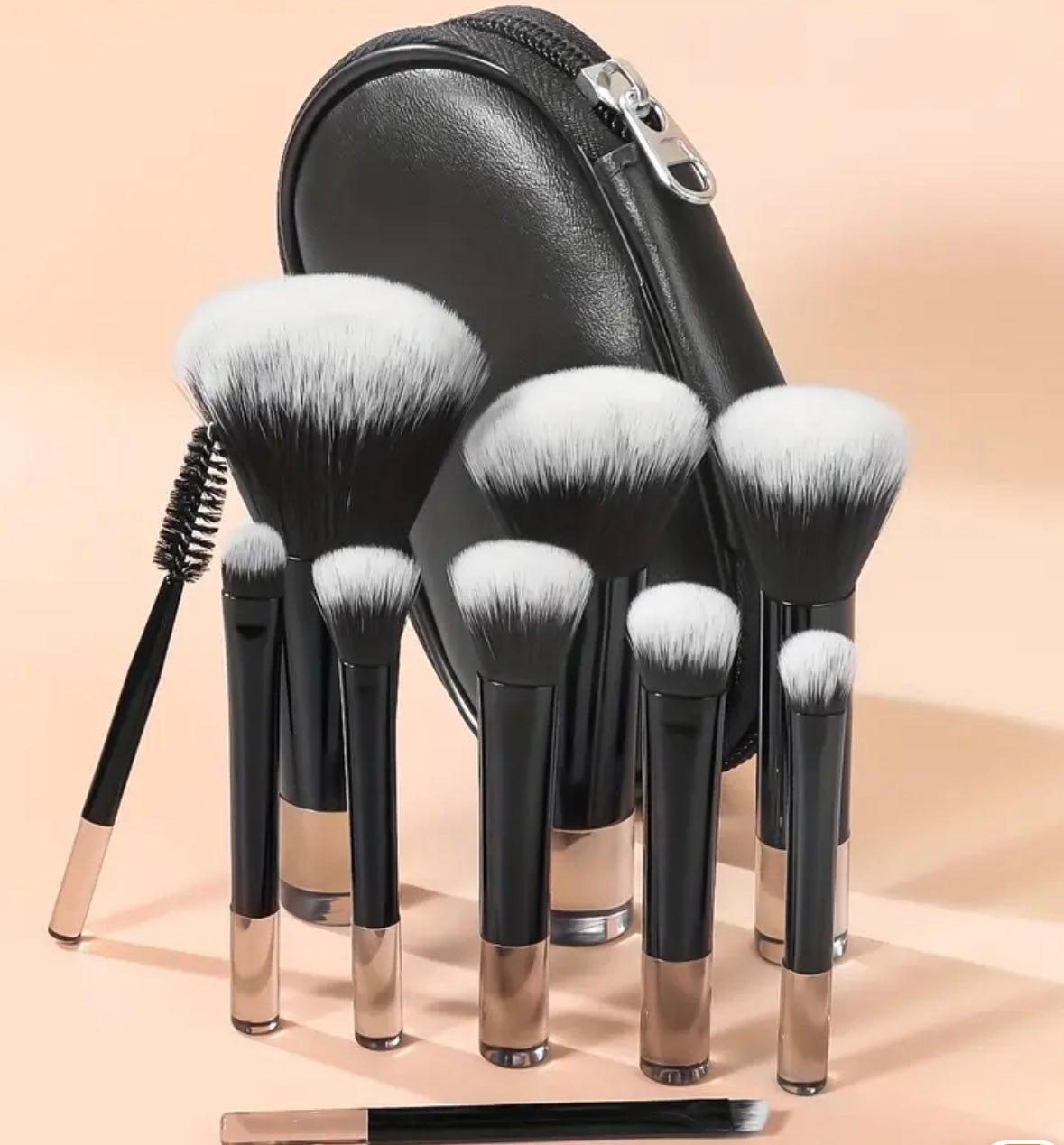 Travel makeup brushes + bag